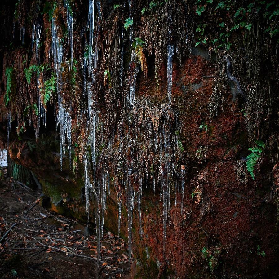 U Kosti - Bohemian Switzerland Lejlighed Decin Eksteriør billede