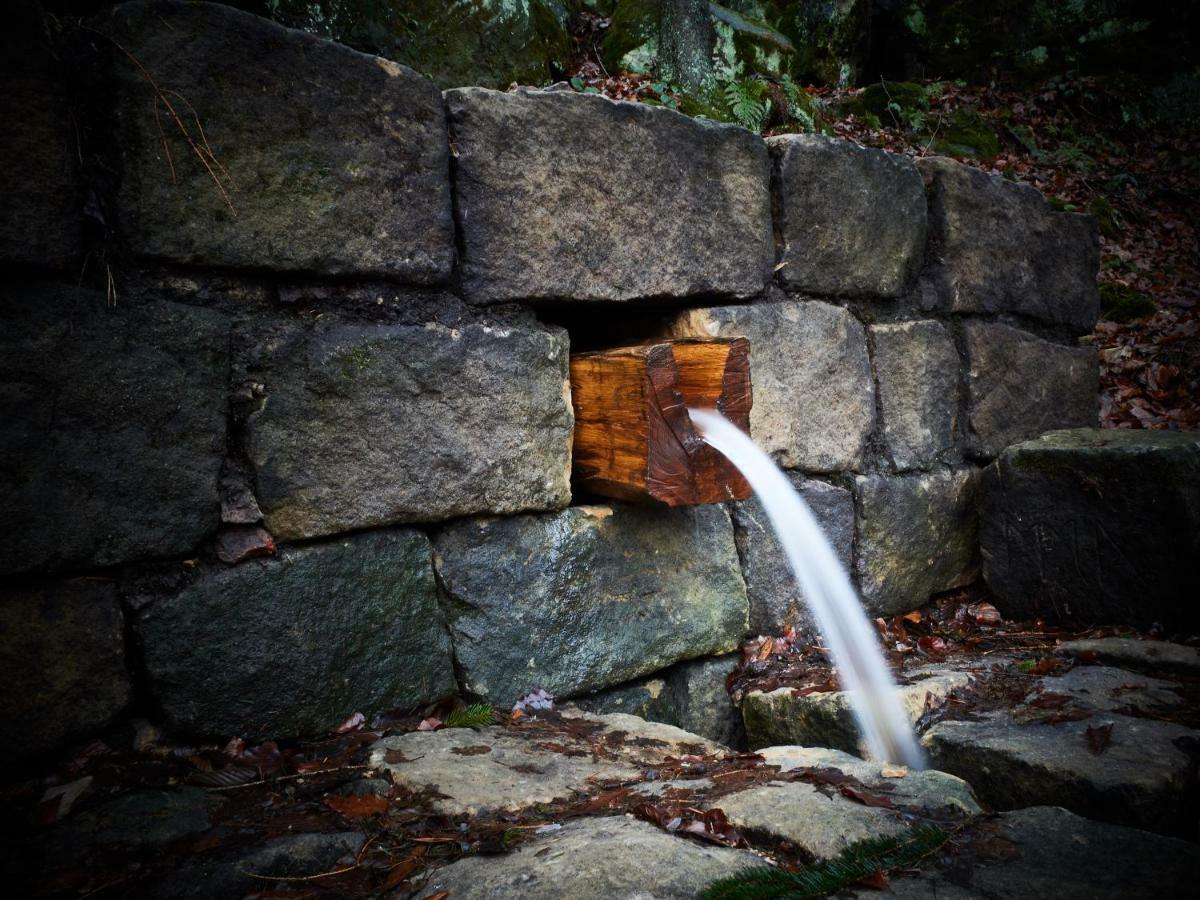 U Kosti - Bohemian Switzerland Lejlighed Decin Eksteriør billede